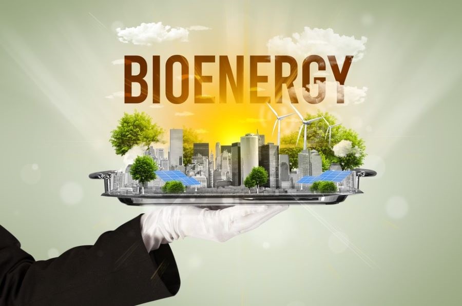 Le bioenergie nel Clean Industrial Deal: un position paper di Bioenergy Europe