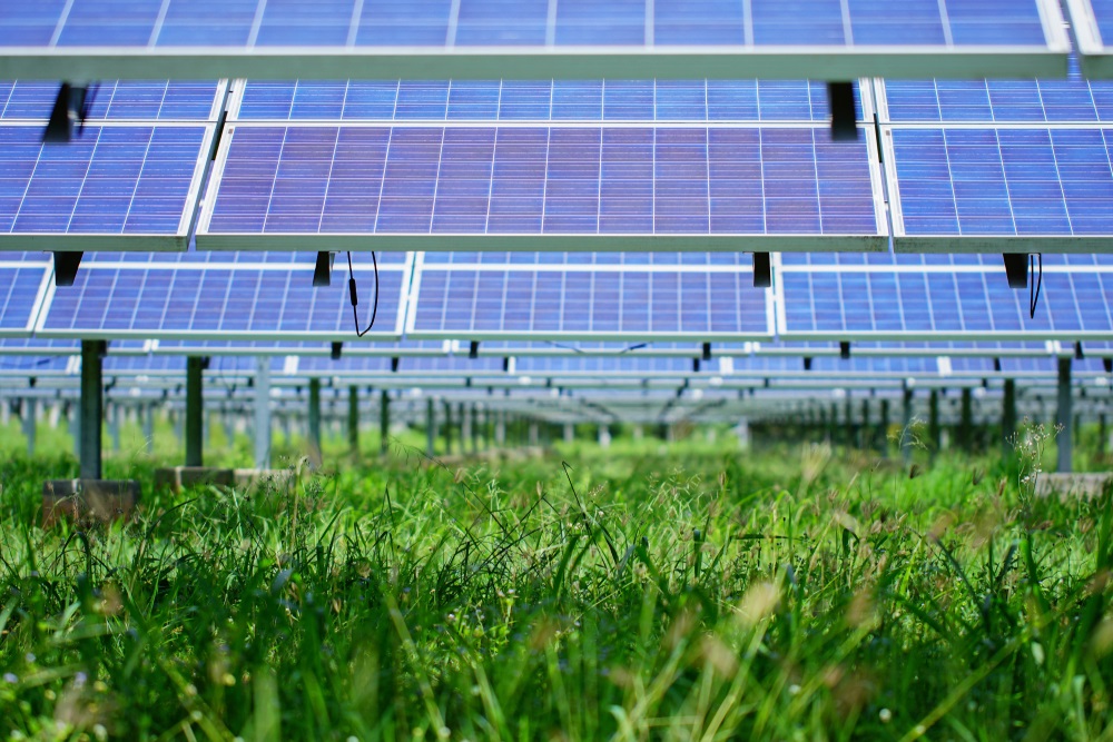Accordo per lo sviluppo di 300 MW fotovoltaici tra Renergetica ed Enel  Green Power