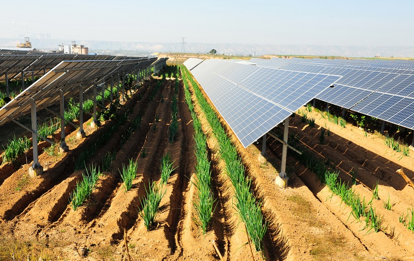 Pannelli solari e rischi per la salute – Ambiens energia