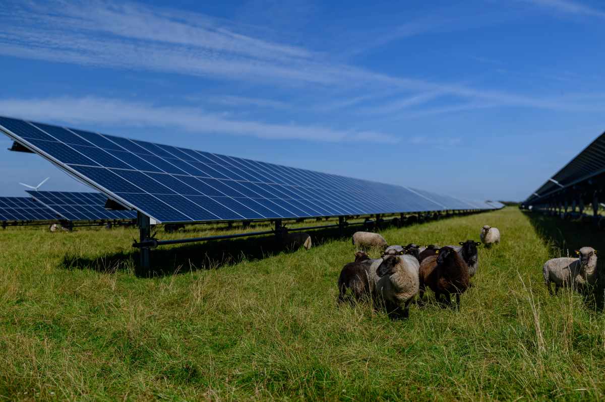 In Sicilia quasi 11 GW di rinnovabili con pareri ambientali positivi