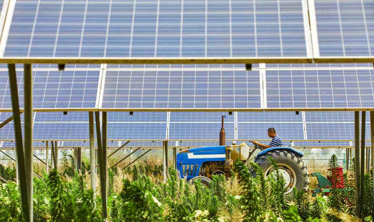 Agrivoltaico, quali contratti con i partner agricoli?