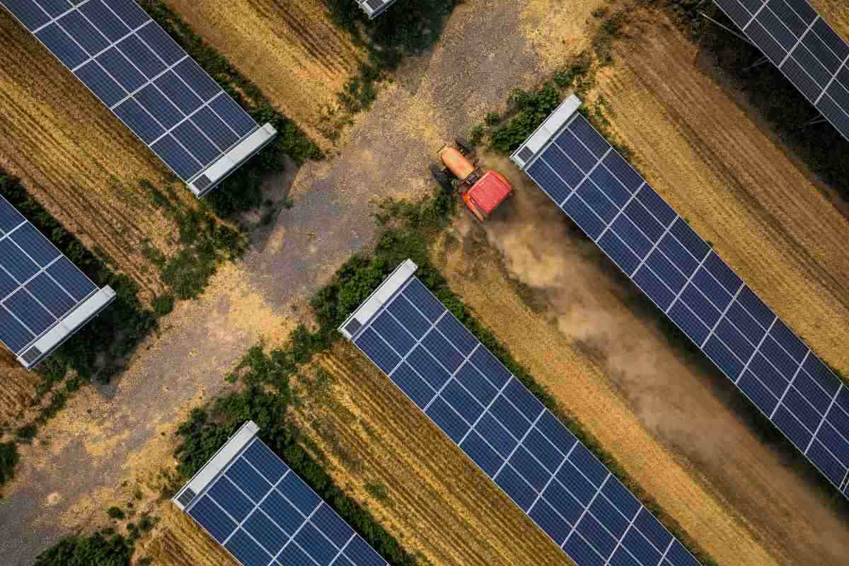 Agrivoltaico avanzato, il governo valuta un secondo bando