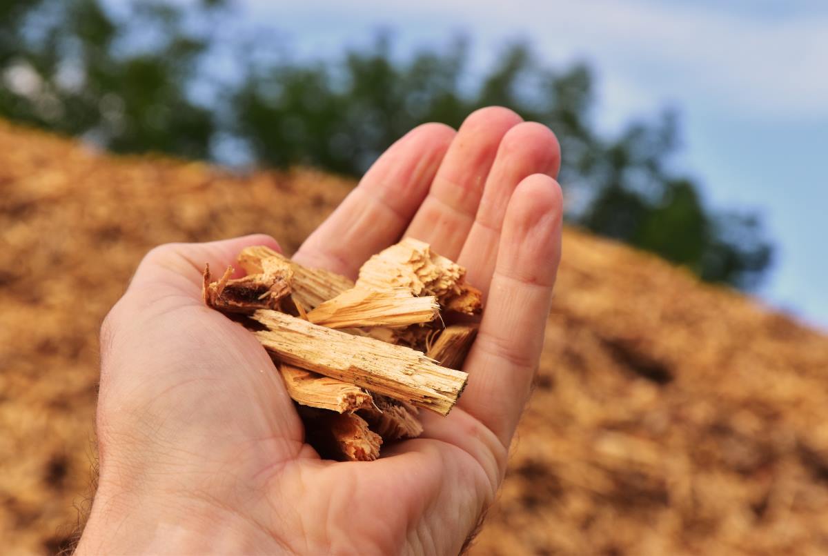 A Fieragricola Tech quattro workshop sull’uso energetico delle biomasse