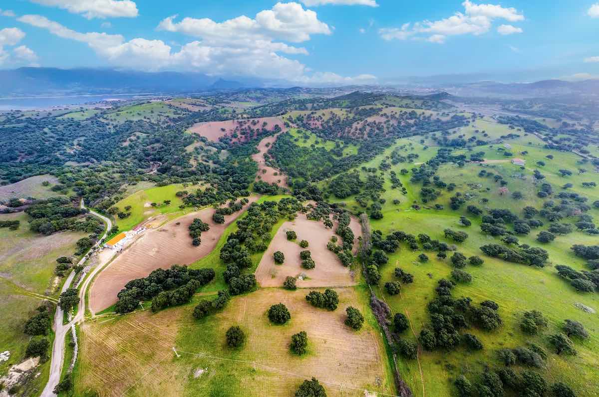 La Sardegna boccia altri impianti agrivoltaici approvati dal Mase